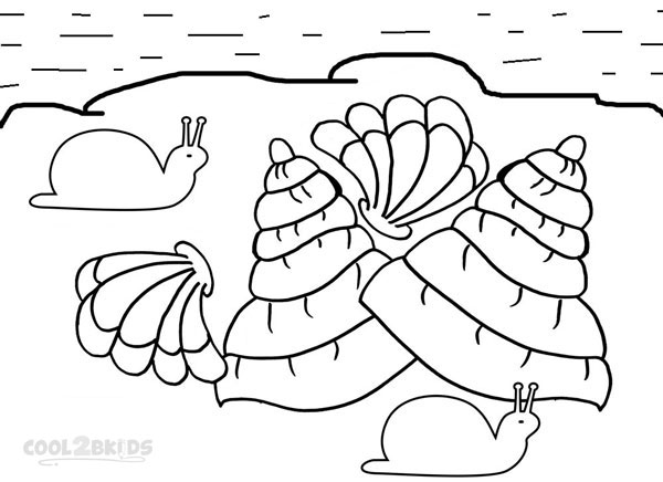 Download Printable Seashell Coloring Pages For Kids | Cool2bKids