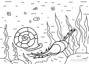 Seashell Coloring Pages Printable