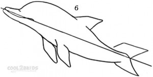 Drawing a Dolphin Step 6