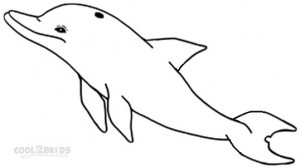 Drawing a Dolphin Step 7