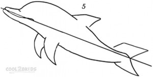 How To Draw a Dolphin Step 5