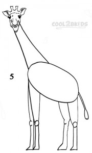 How To Draw a Giraffe Step 5