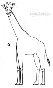 How To Draw a Giraffe Step 6