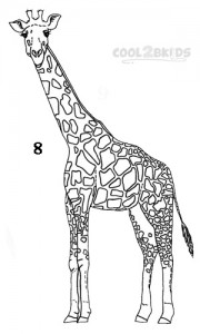 How To Draw a Giraffe Step 8
