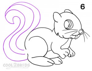 How To Draw a Squirrel Step 6