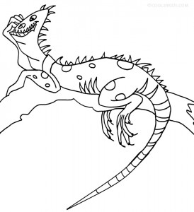 Free Iguana Coloring Pages