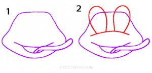 How To Draw a Frog Step 1