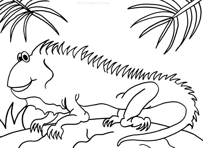 87 Top Coloring Pages Animals Iguana For Free