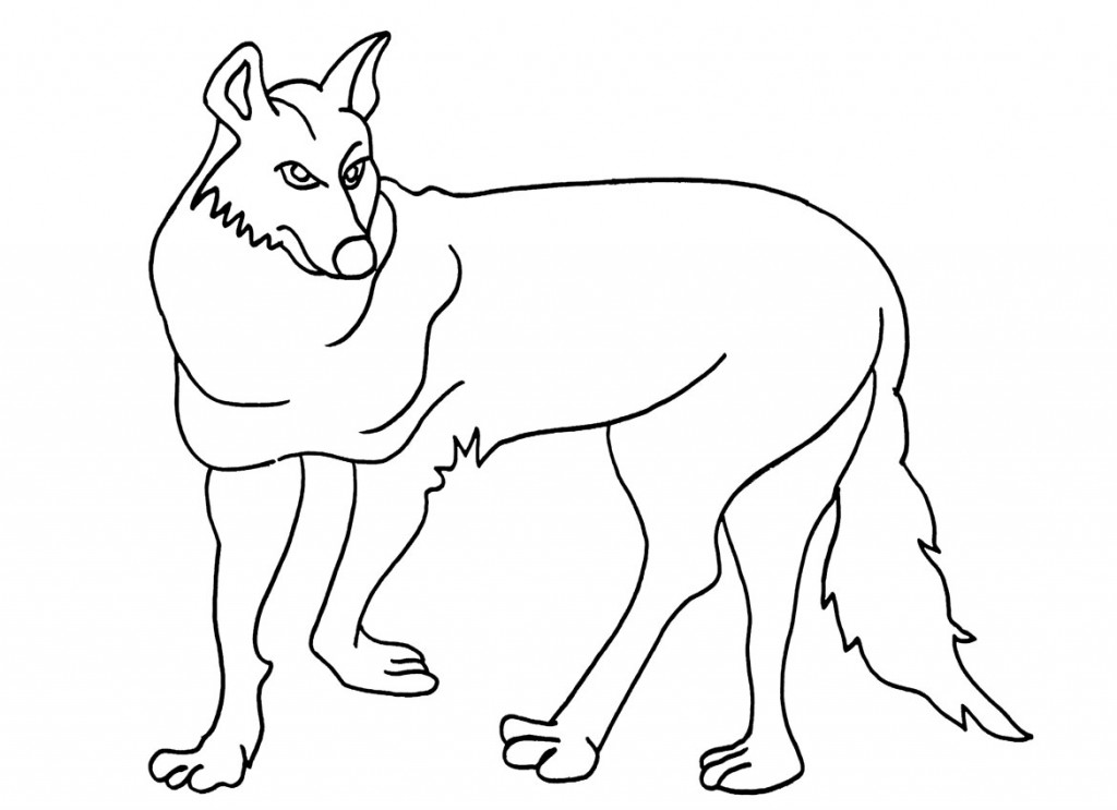 Printable Coyote Coloring Pages For Kids