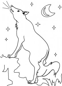 Coyote Coloring Pages Printable