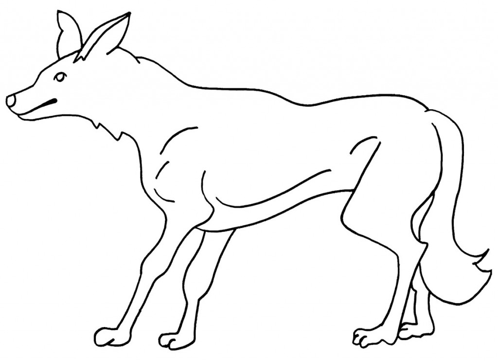 Printable Coyote Coloring Pages For Kids
