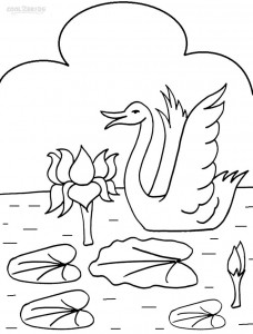 printable lily pad coloring pages for kids