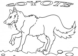 Free Printable Coyote Coloring Pages