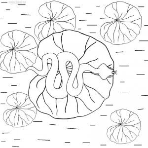 Free Printable Lily Pad Coloring Pages