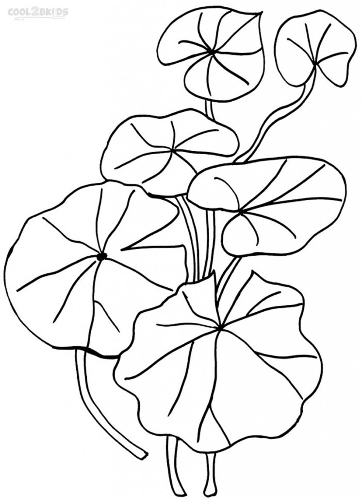 Printable Lily Pad Coloring Pages For Kids