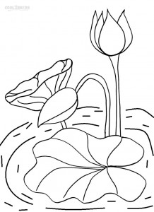 Lily Pad Coloring Pages Printable