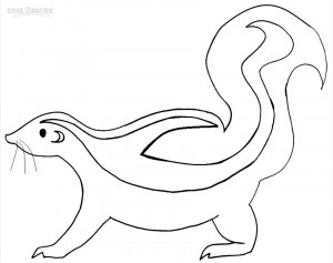 Skunk Coloring Pages