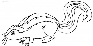Skunk Coloring Pages Print