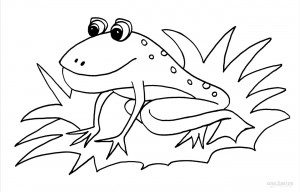 Toad Coloring Pages Printable