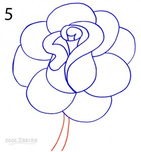 How To Draw a Realistic Rose Step 5