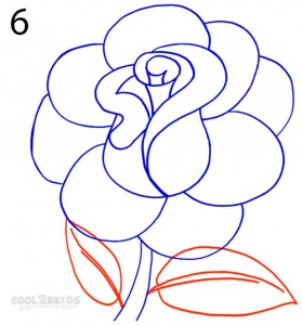 How To Draw a Realistic Rose Step 6