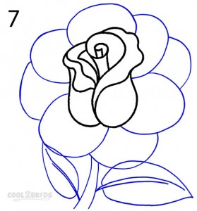 How To Draw a Realistic Rose Step 7