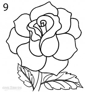 How To Draw a Realistic Rose Step 9