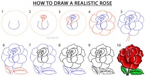 How To Draw a Realistic Rose Step by Step