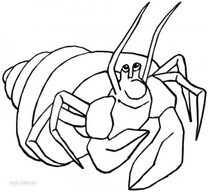 Coloring Pages of Hermit Crab