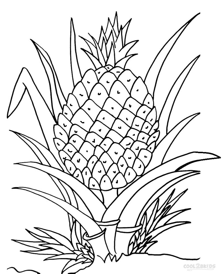 Printable Pineapple Coloring Pages For Kids