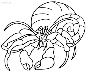 Printable Hermit Crab Coloring Pages