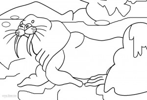 Walrus Coloring Pages Print