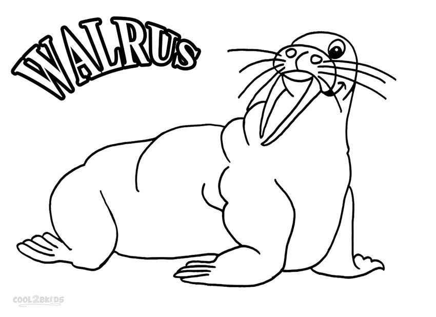 Download Printable Walrus Coloring Pages For Kids