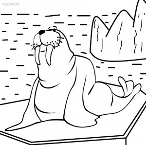 Walrus Printable Coloring Pages