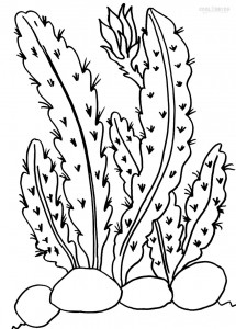 Desert Cactus Coloring Pages