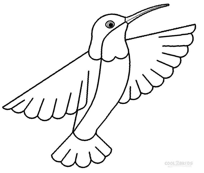 Coloring Pages Hummingbirds 8