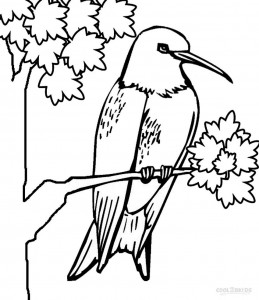 Hummingbird Coloring Page