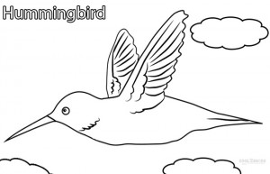 Hummingbird Coloring Pages