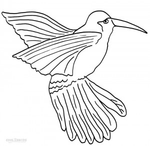 Hummingbird Coloring Pages Printable