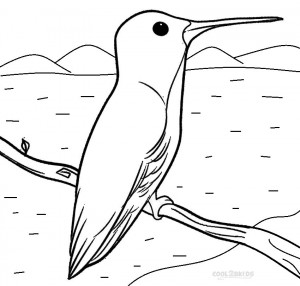 Hummingbird Coloring Sheets