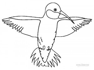 Hummingbird Printable Coloring Pages