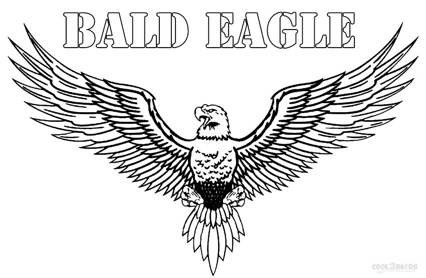 Coloring Picture Bald Eagle 8