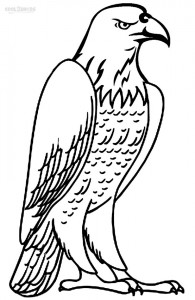 Coloring Pages of Bald Eagle