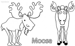 Coloring Pages of Moose