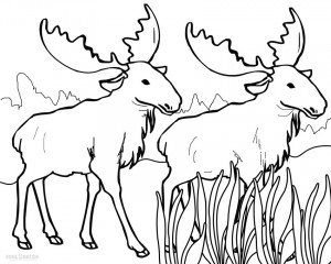 Moose Coloring Pages