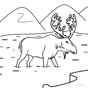 Moose Coloring Pages to Print