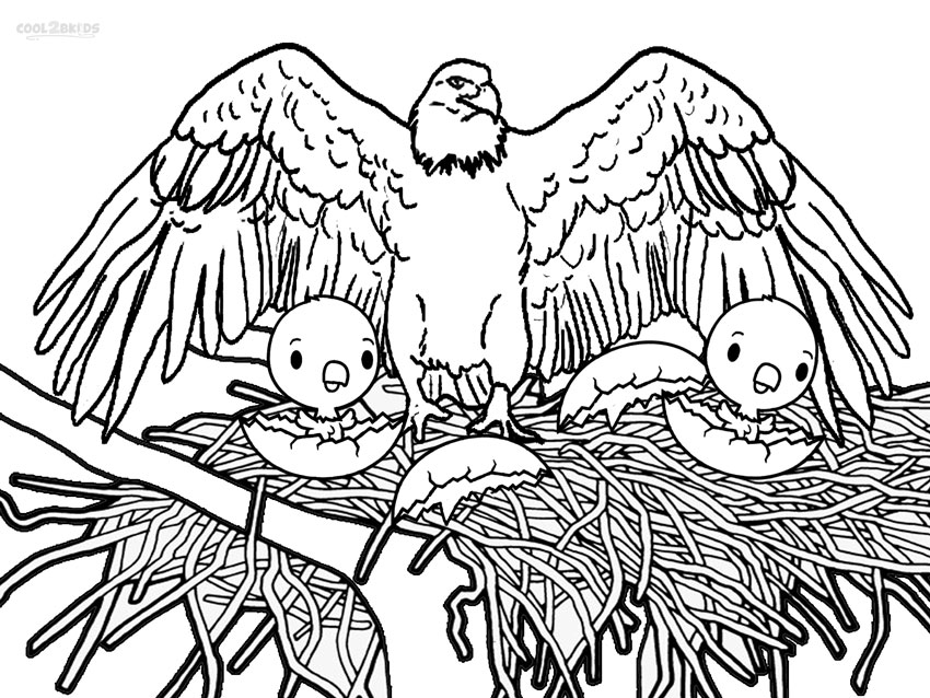Eagle Coloring Sheets Printable Eagle Coloring Bald Printable Adults 