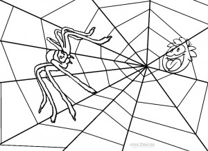 Free Printable Spider Web Coloring Pages