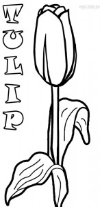 Free Printable Tulip Coloring Pages