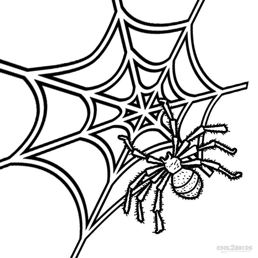 Printable Spider Web Coloring Pages For Kids